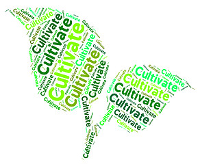 Image showing Cultivate Word Means Words Cultivation And Text