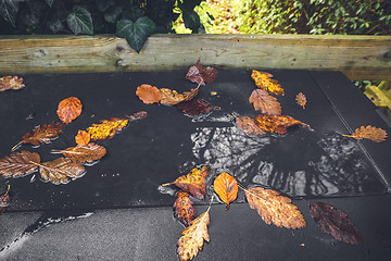Image showing Autumn leaves in a puddle after the rain