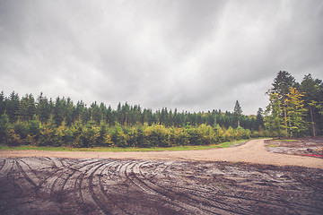 Image showing Wheel tracks in a forest