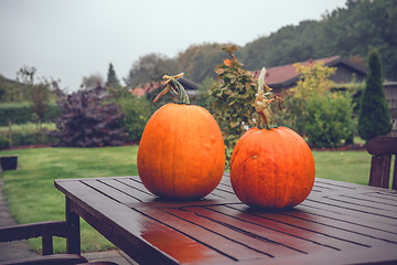 Image showing Pumkins on a table in a garden