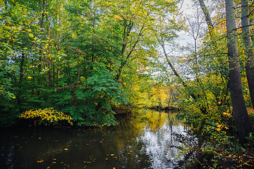 Image showing Autumn colors on the trees near a river