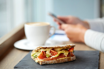 Image showing salmon panini sandwich on stone plate at cafe