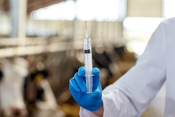 Image showing veterinarian hand with vaccine in syringe on farm