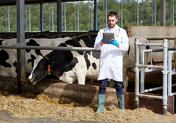 Image showing veterinarian with tablet pc and cows on dairy farm