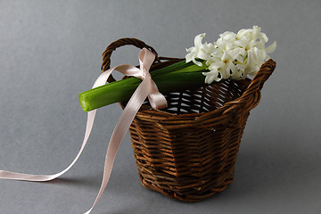 Image showing Hyacintt with basket