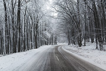 Image showing Winter Road Turns