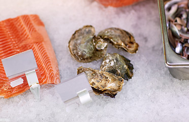 Image showing salmon fish and oysters on ice at grocery stall