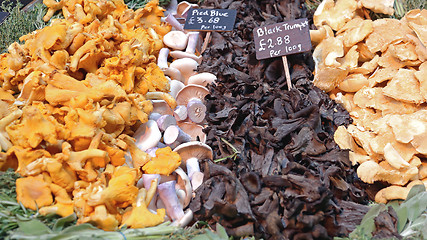 Image showing Mushrooms Mix