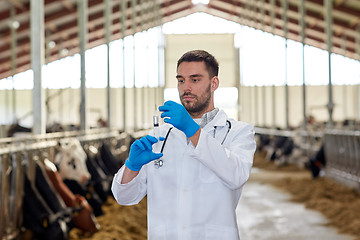 Image showing veterinarian with syringe vaccinating cows on farm