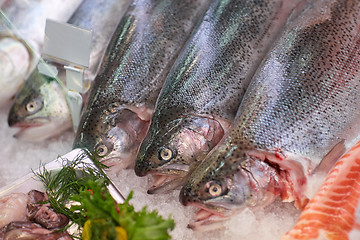 Image showing fresh fish on ice at grocery stall