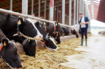 Image showing herd of cows eating hay in cowshed on dairy farm