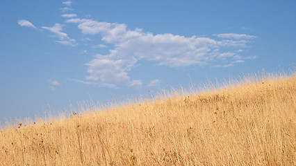 Image showing Agrarian landscape, Valtrebbia, Italy