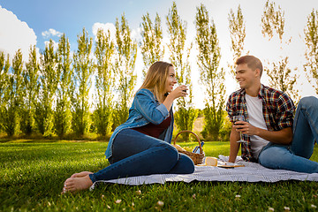 Image showing Just us and a picnic