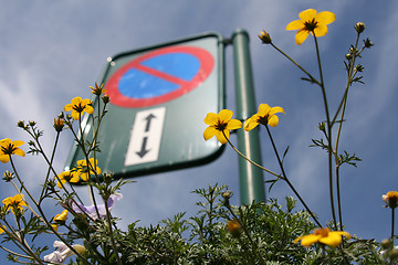 Image showing No parking sign