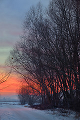 Image showing sunset with tree shadow