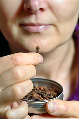 Image showing Woman chew dried clove spice