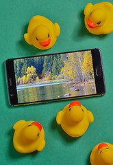 Image showing Yellow rubber duck and smartphone concept