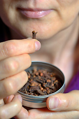 Image showing Woman chew dried clove spice