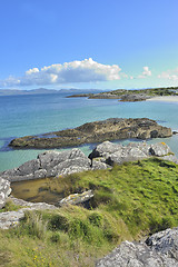 Image showing Rural landscape from  ireland