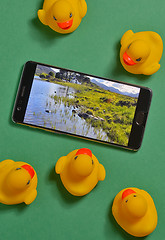 Image showing Yellow rubber ducks and smartphone concept