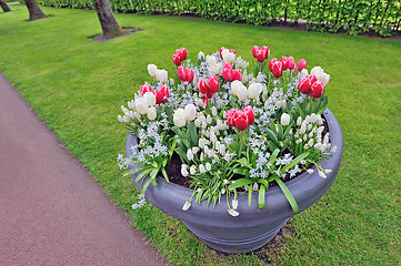 Image showing Spring flowers in big vase