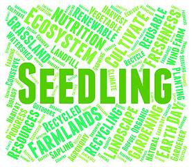 Image showing Seedling Word Indicates Young Tree And Botany