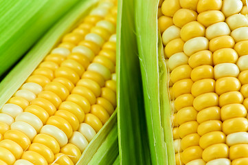 Image showing Corn close up