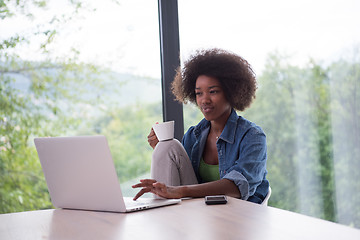 Image showing African American woman in the living room