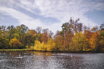 Image showing Autumn scenery with colorful autumn trees