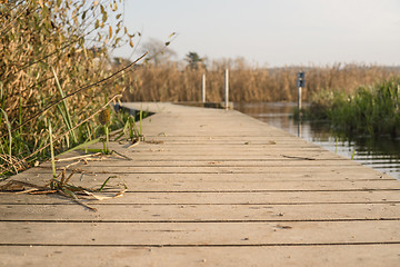 Image showing Wooden pier by a lake in autumn