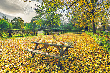 Image showing Autumn leaves on a bench in a park