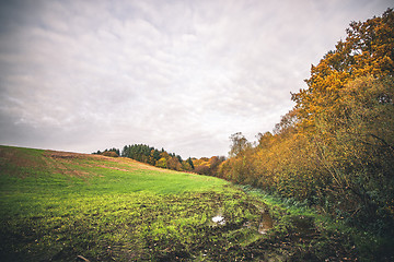 Image showing Muddy field with a puddle in the fall