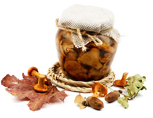 Image showing Pickled Chanterelle Mushrooms