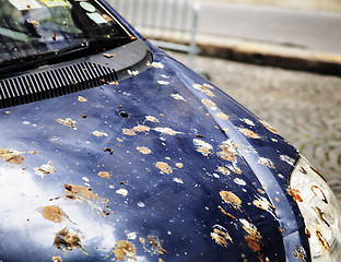 Image showing hood of car with lot of bird droppings, bad parking concept