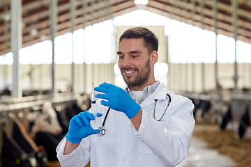 Image showing veterinarian with syringe vaccinating cows on farm