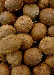 Image showing close up of coconuts