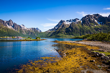 Image showing Lofoten archipelago islands Norway