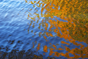 Image showing Sky and leaves reflected in the water surface like a natural abstract paint