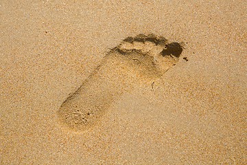 Image showing Footsteps in Sand