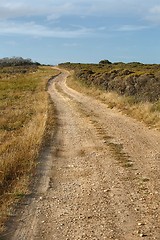 Image showing Gravel road perspective