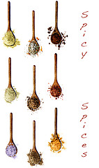 Image showing Collection of Spices with Inscription