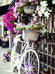 Image showing flower in basket of vintage bicycle on vintage wooden house wall