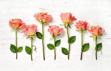 Image showing pink roses on white wood background