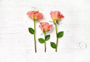 Image showing pink roses on white wood background