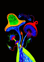 Image showing Psychedelic Art  By Fluorescent Paint