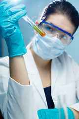 Image showing Young scholar with test tubes