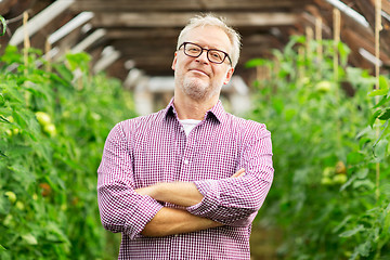 Image showing happy senior man at farm greenhouse