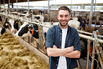 Image showing man or farmer with cows in cowshed on dairy farm