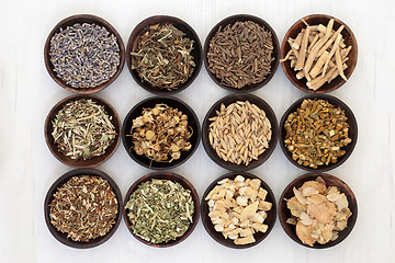 Image showing Herbs for Anxiety and Sleeping Disorders