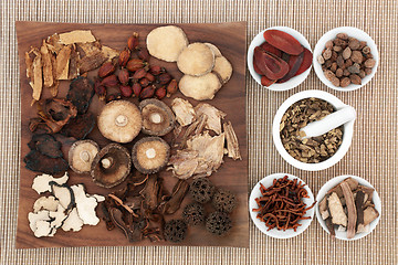 Image showing Traditional Chinese Herbal Medicine